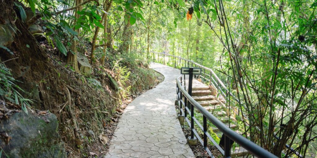 Doi Suthep, Pui National Park